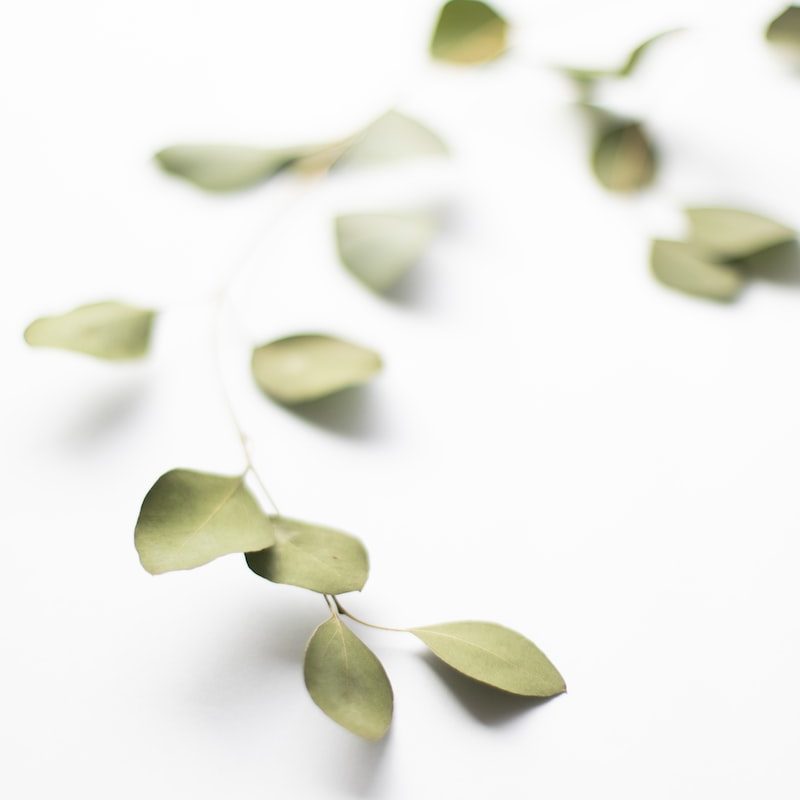 a white table topped with green leaves on top of it